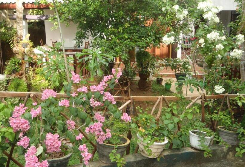 تختخواب و صبحانه New Jaya Villa