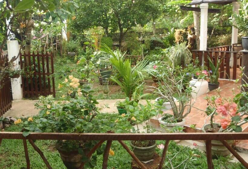تختخواب و صبحانه New Jaya Villa