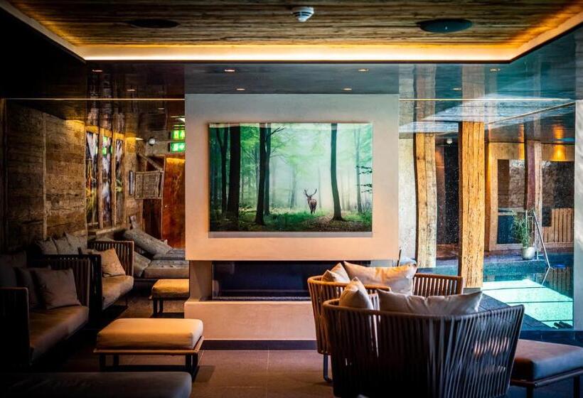 هتل Hôtel De Rougemont & Spa