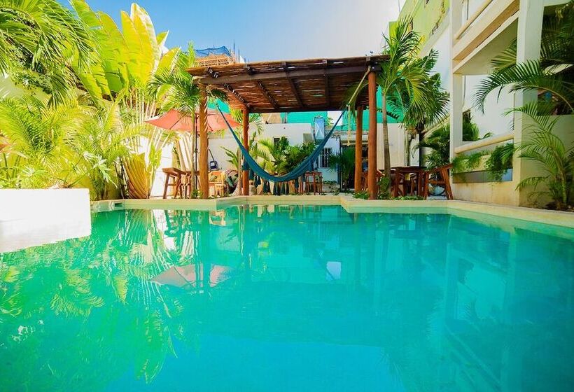 Fotos del hotel San Vicente:  8