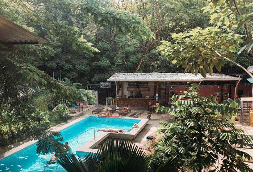 ホテル Selina Santa Teresa North   Hostel