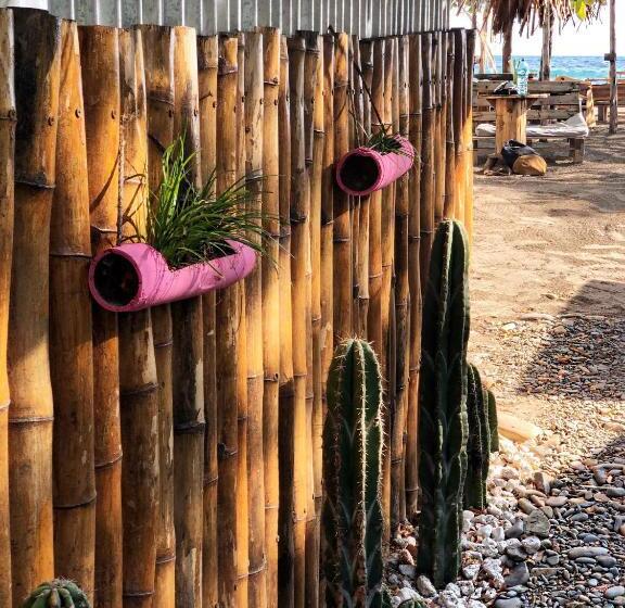 تختخواب و صبحانه Casitas Pacific