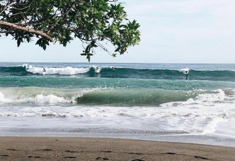 تختخواب و صبحانه Casitas Pacific