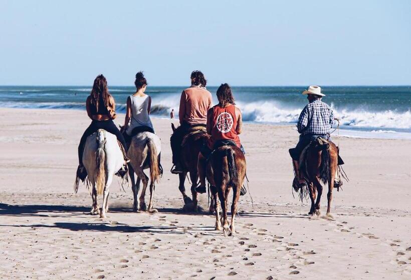 تختخواب و صبحانه Casitas Pacific