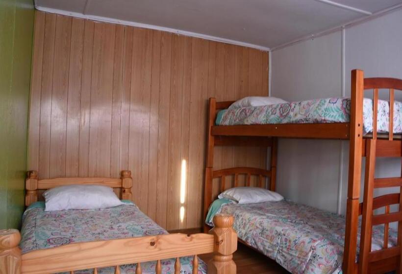 Hostel 53 Sur