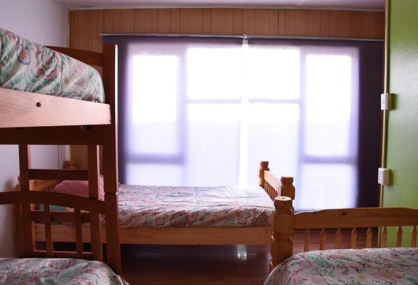 Hostel 53 Sur