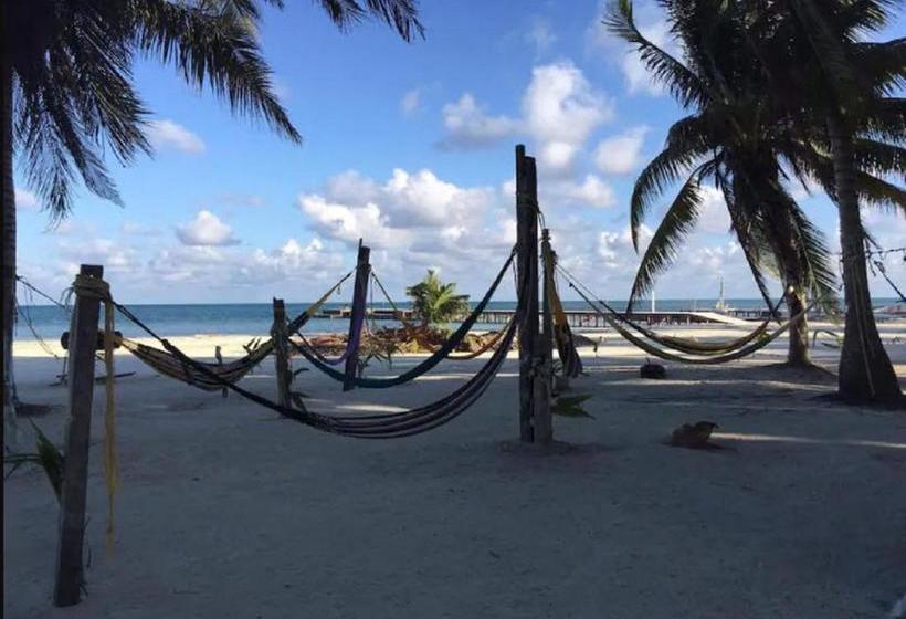 בית מלון כפרי Caye Caulker Beach