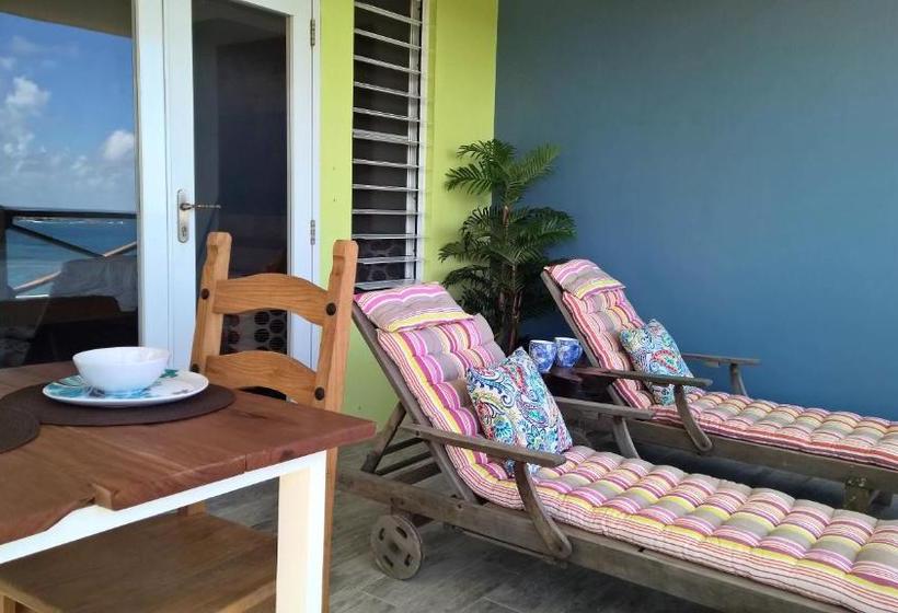 Hotel Cloud9 Dominica Boutique
