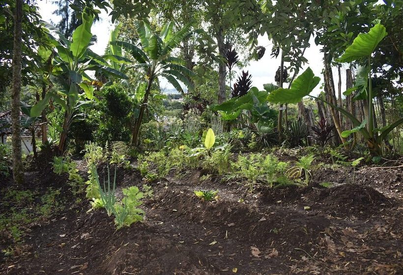 هتل La Casa De Francois