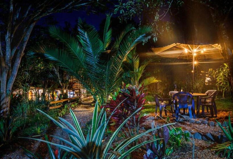 هتل La Casa De Francois