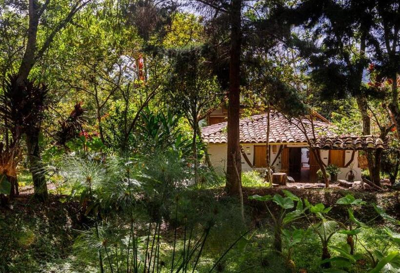 هتل La Casa De Francois