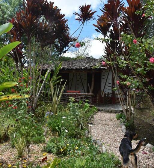 هتل La Casa De Francois