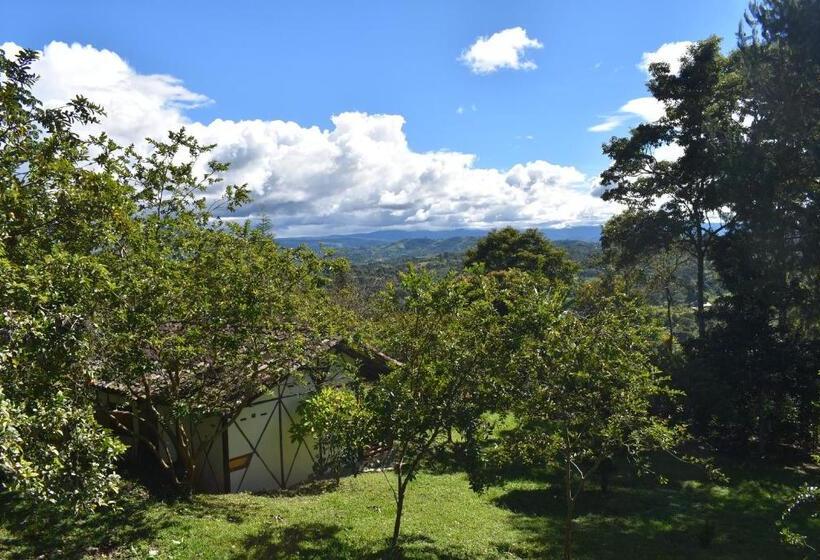 هتل La Casa De Francois