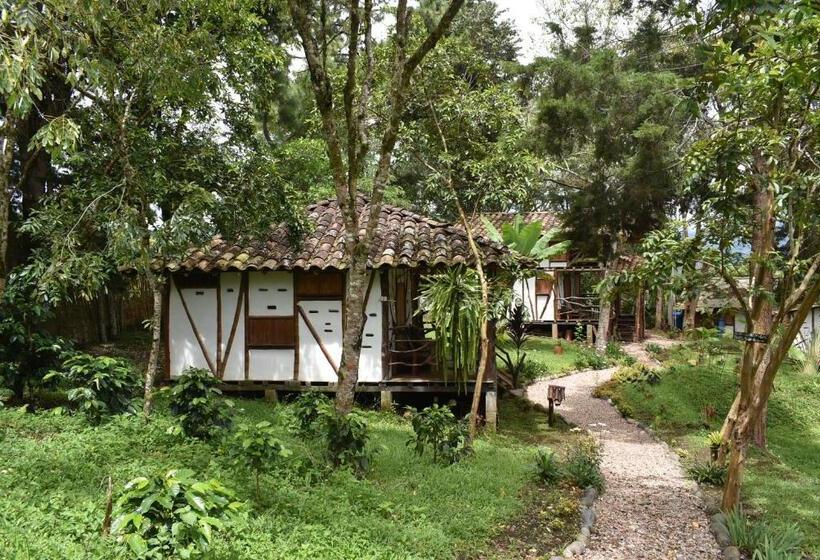 هتل La Casa De Francois