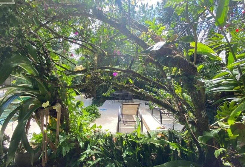 استراحتگاه Paradise Hot Springs
