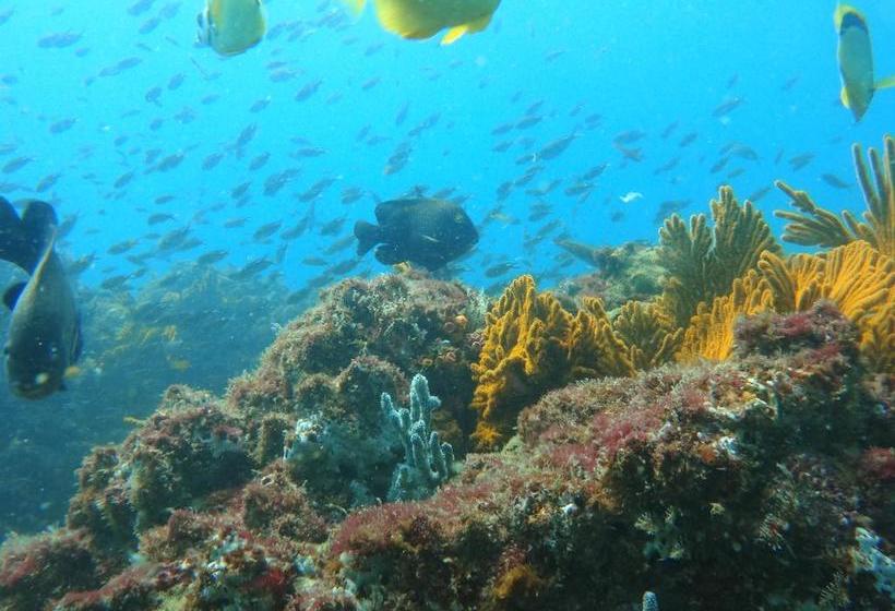 هاستل Hostal Surf Olón