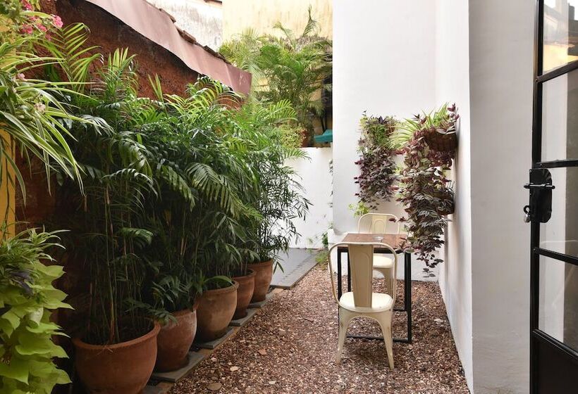 مبيت وإفطار Mateus Boutique