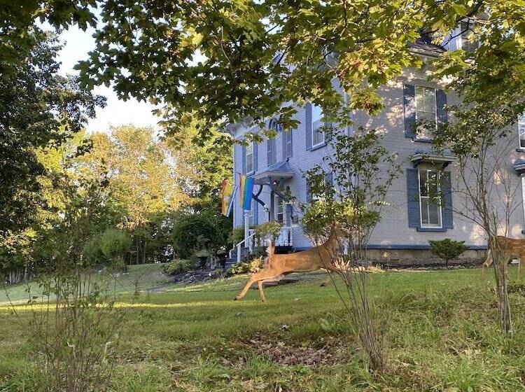تختخواب و صبحانه The Montague Rose Inn & Cafe