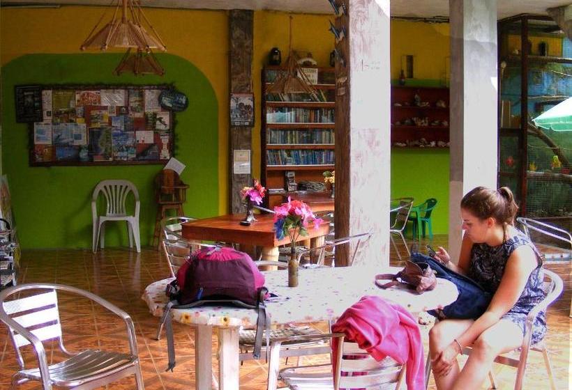 هاستل Hostal Maxima