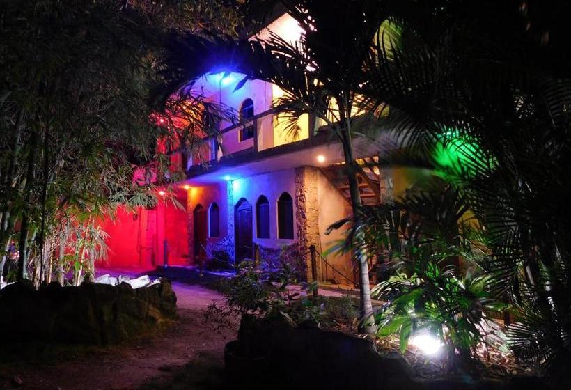 호스텔 Hostal Maxima