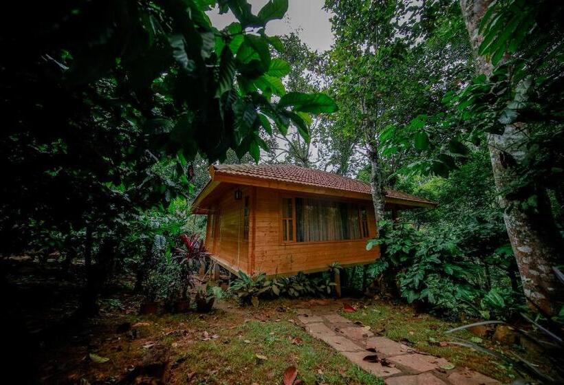 Bamboo Creek Resort