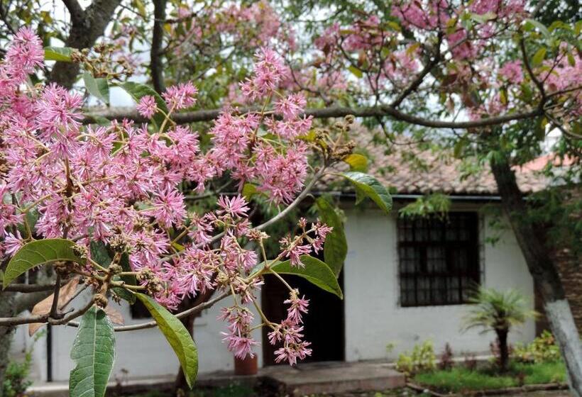 هتل La Primavera