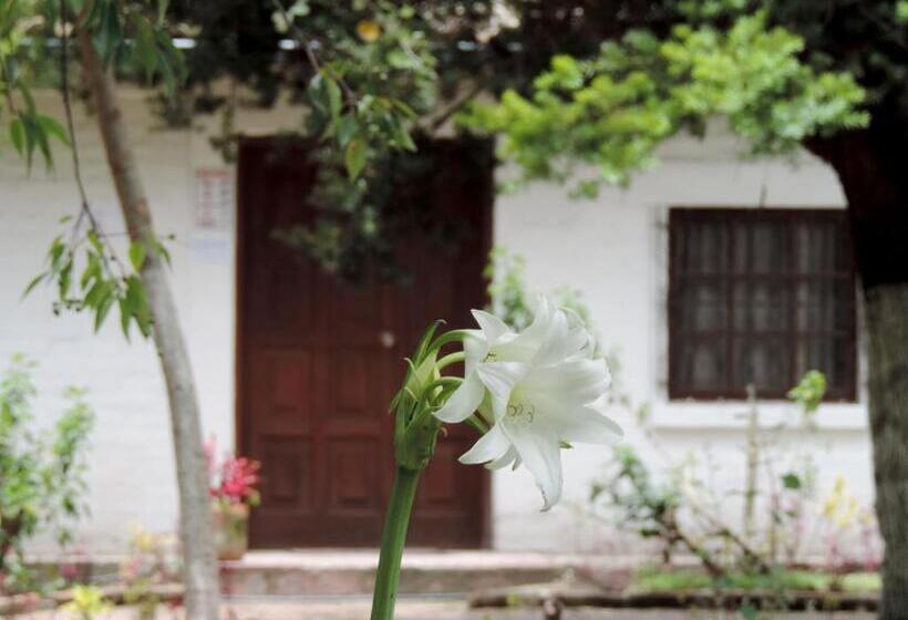 هتل La Primavera