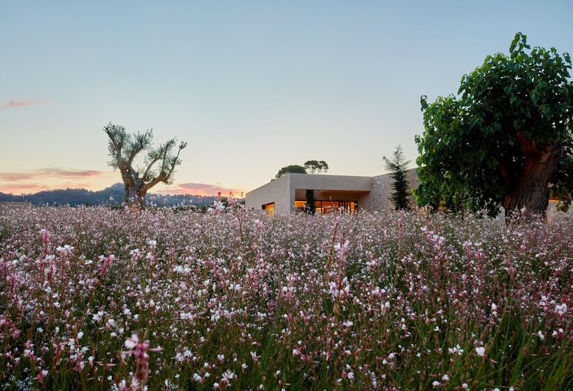 Pleta De Mar, Grand Luxury Hotel By Nature   Adults Only