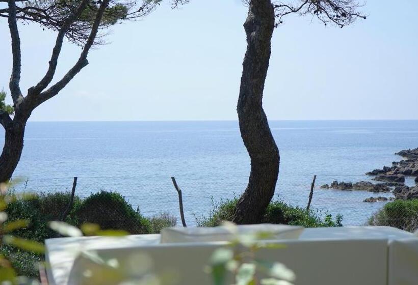 Pleta De Mar, Grand Luxury Hotel By Nature   Adults Only