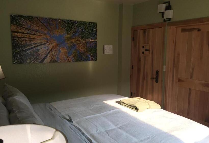 هتل Roam Inn