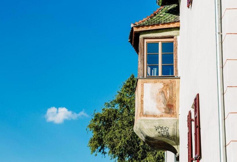 Отель Zum Riesen Historic Refugium