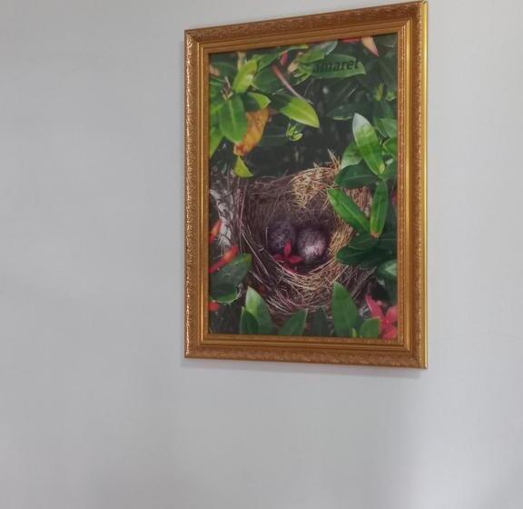 Amaretto Hostel