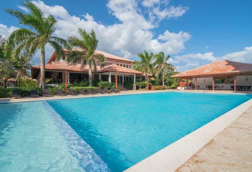 Fotos del hotel Casa Hemingway:  4