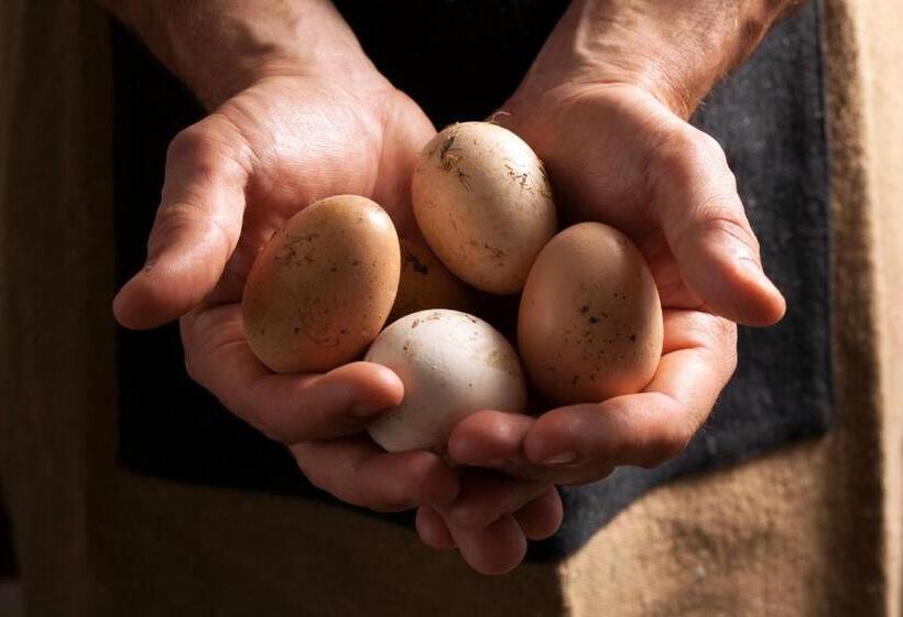 مبيت وإفطار Casale Sterpeti