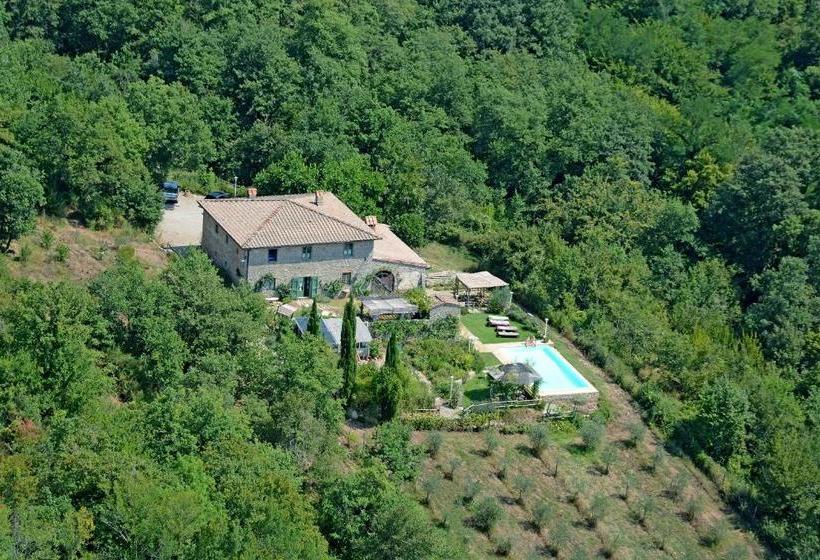 B&b Podere Il Colto
