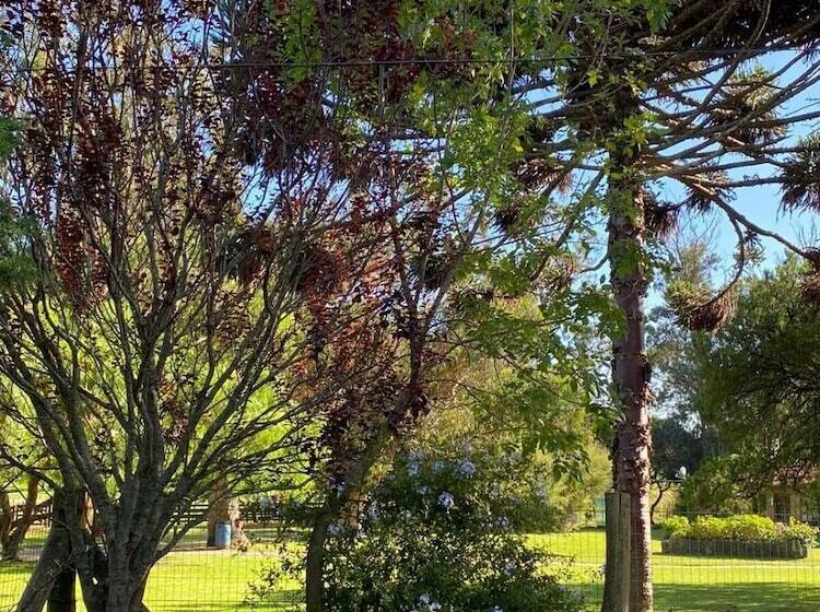 فندق Estancia Renacimiento