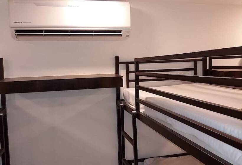 Fotos del hotel Orion:  13