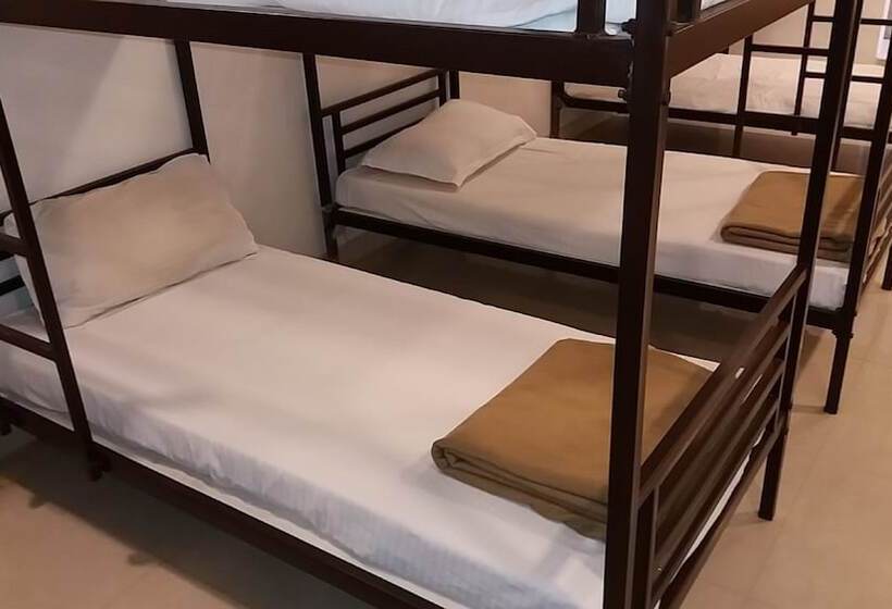 Fotos del hotel Orion:  15