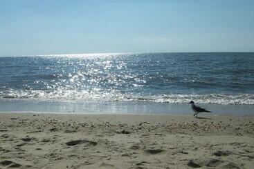 مُتل Boardwalk Beach Inn