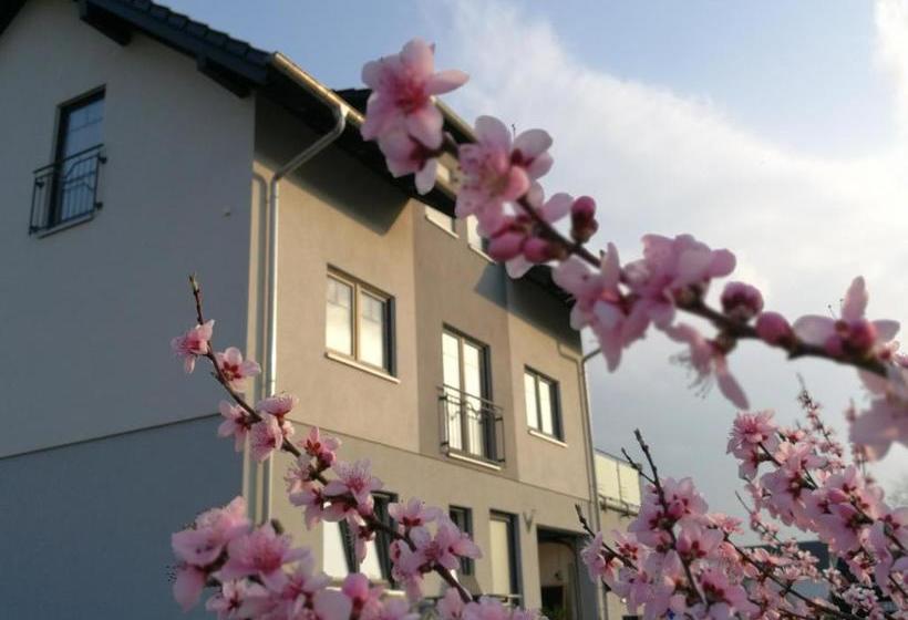 ベッドアンドブレックファースト Pension Susanne