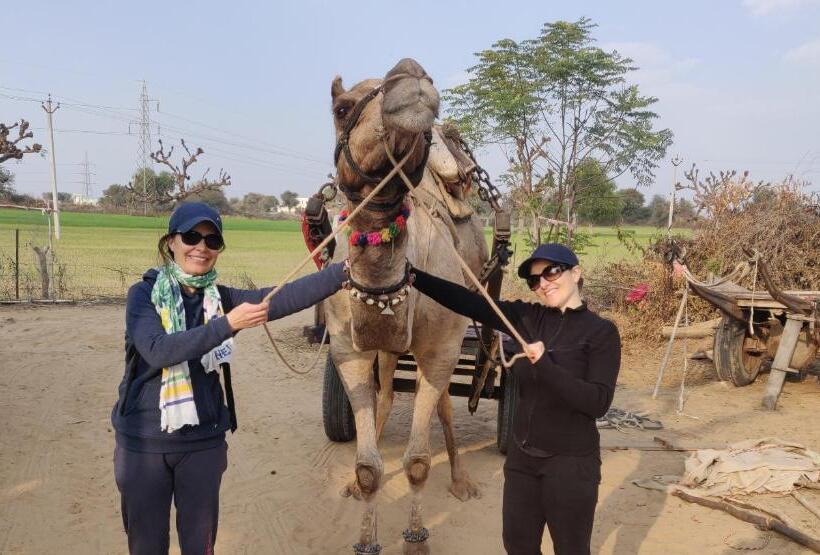 مبيت وإفطار Tourist Pension