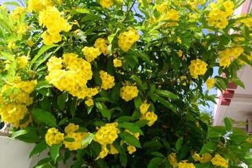 هتل Hung Phuc Mui Ne