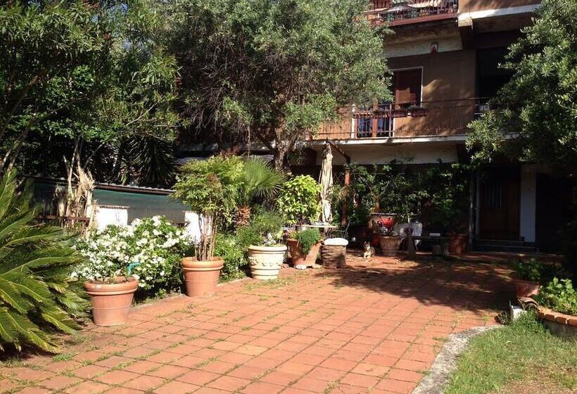 B&b Falcone