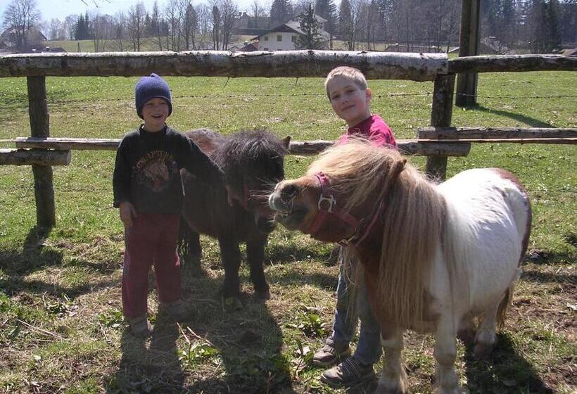 ベッドアンドブレックファースト Hauslhof