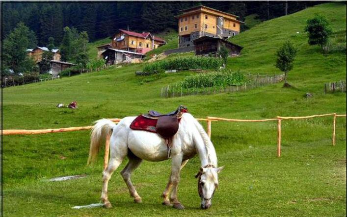فندق Kackar Resort