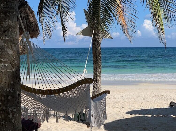 ホテル Villa Las Estrellas Tulum  Located At The Party Zone