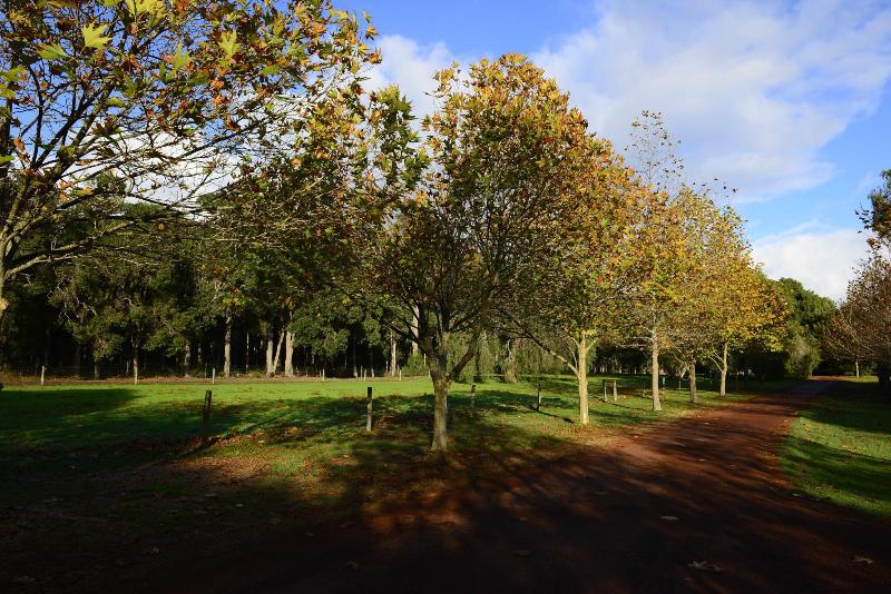 استراحتگاه Losari Retreat