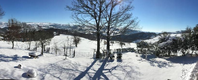 住宿加早餐 Campo Della Corte