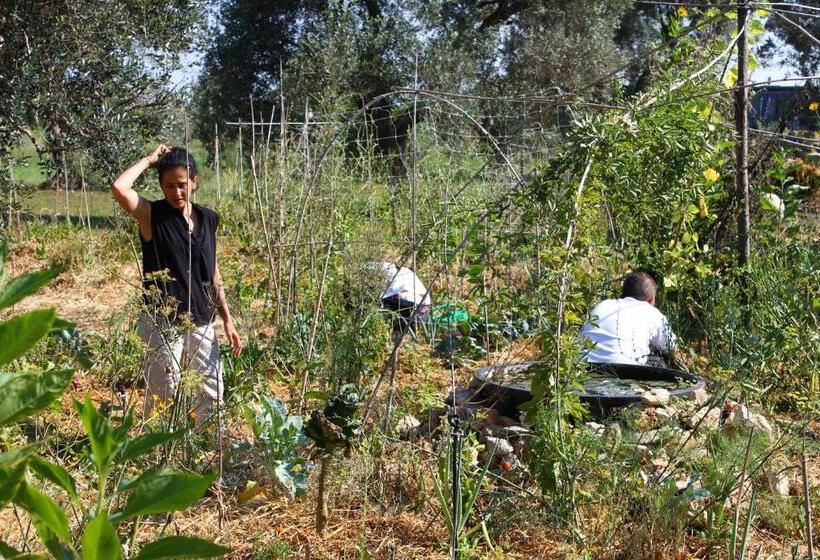مبيت وإفطار Mater Bed & Food Riserva Naturale Di Torre Guaceto