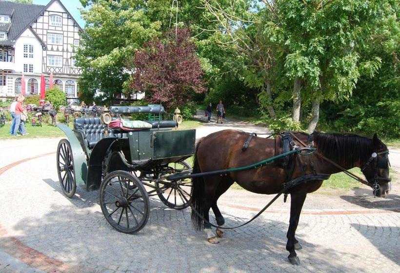 فندق Hiddensee Hitthim